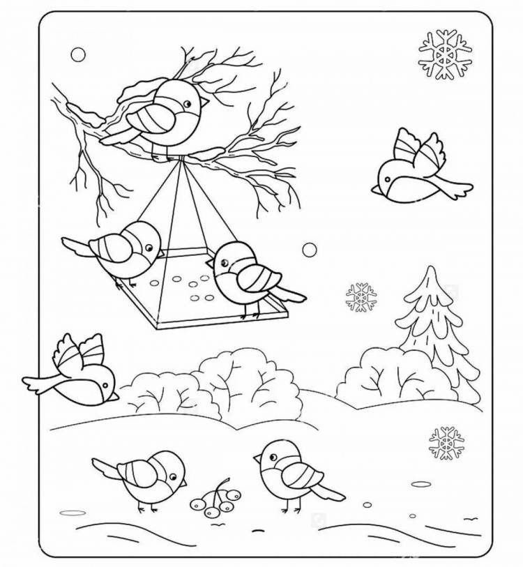Раскраски Птицы зимой для детей