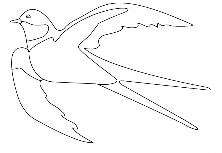 Раскраска Перелетные птицы распечатать бесплатно