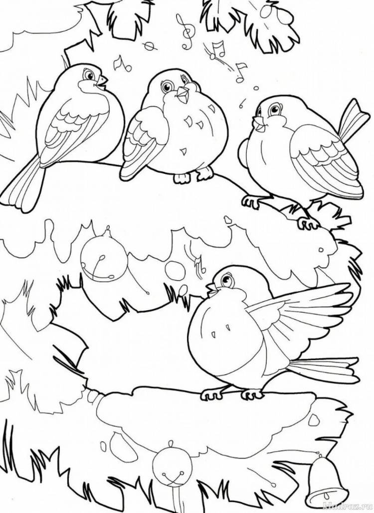 Раскраски Птицы зимой для детей