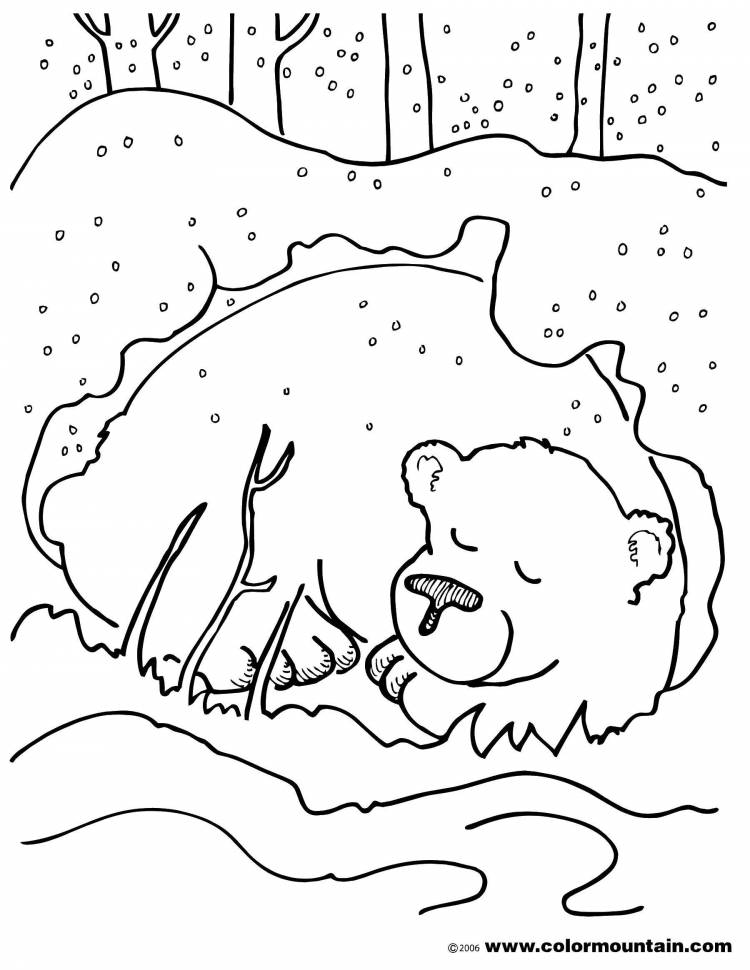 Раскраски Раскраска Мишка под снегом Животные, Раскраски домашние животные