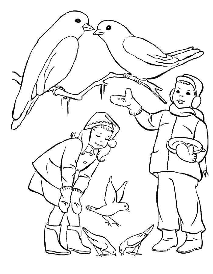 Раскраски Раскраска Дети кормят птичек зимой птицы, скачать распечатать раскраски