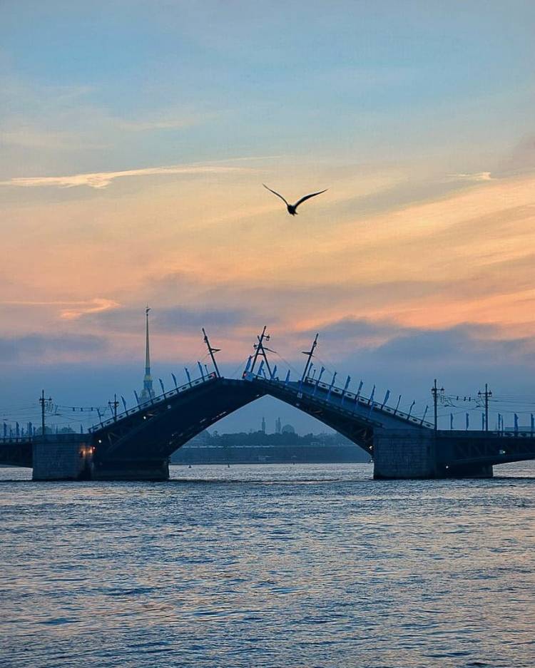 Какой мост в Петербурге разводят под музыку?