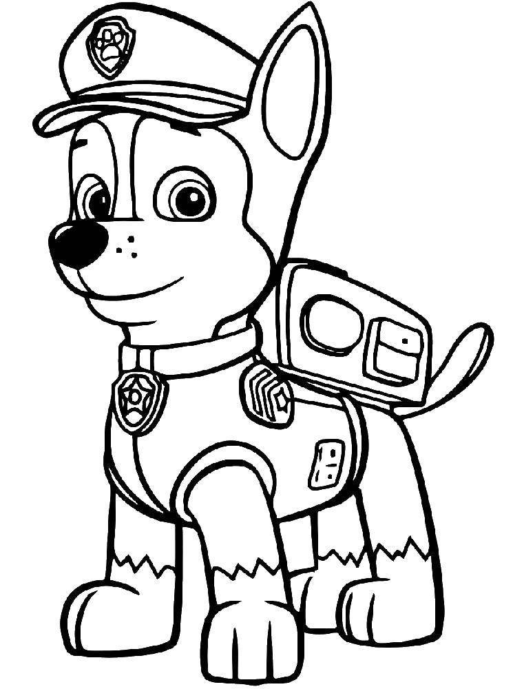 Раскраски Раскраска Овчарка чейз щенячий патруль, скачать распечатать раскраски