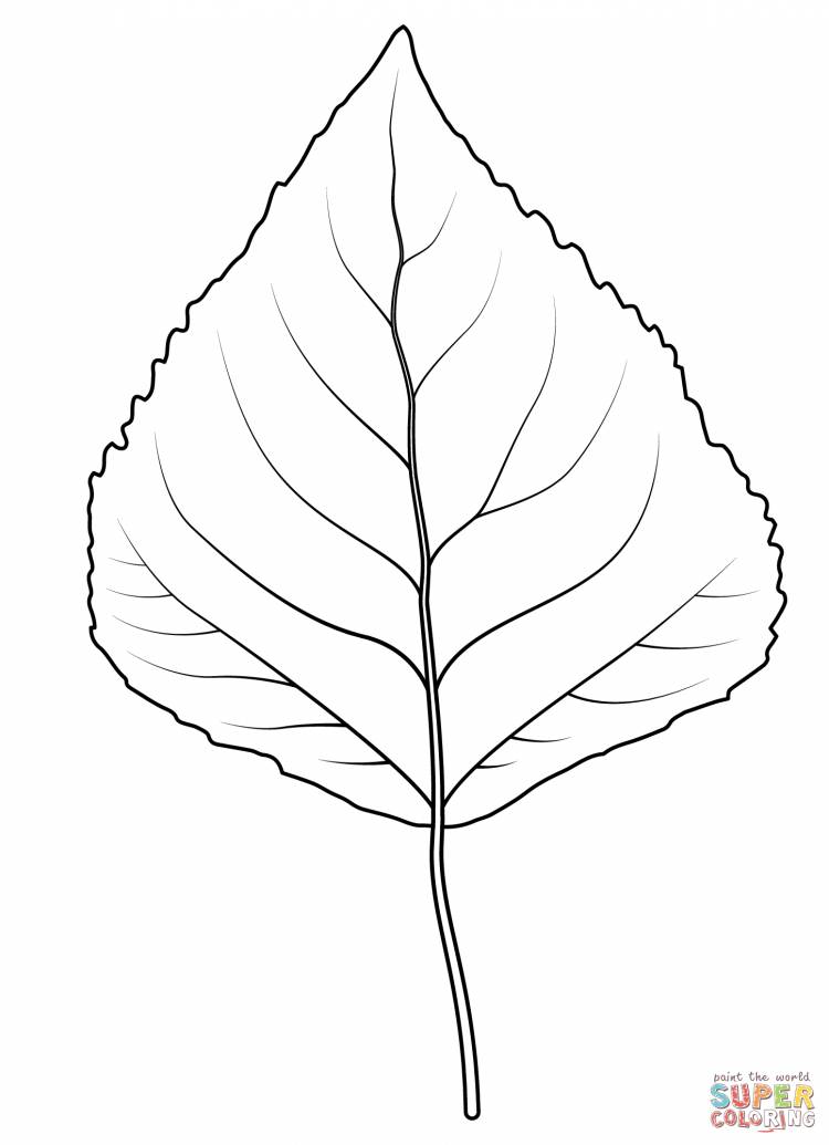 Листья березы трафарет