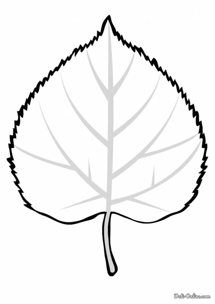 Березовый лист осенью рисунок