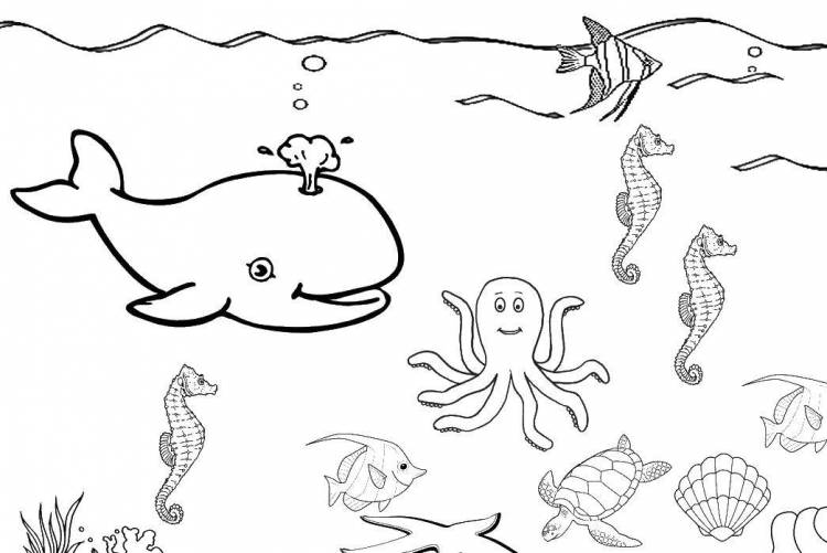 Раскраски Раскраска Подводный мир , Раскраски