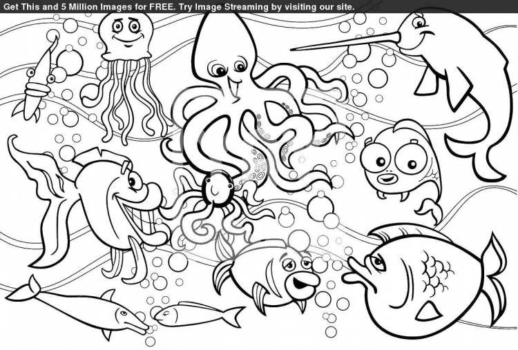 Раскраски Раскраска Рыбки и подводный мир морское, скачать распечатать раскраски