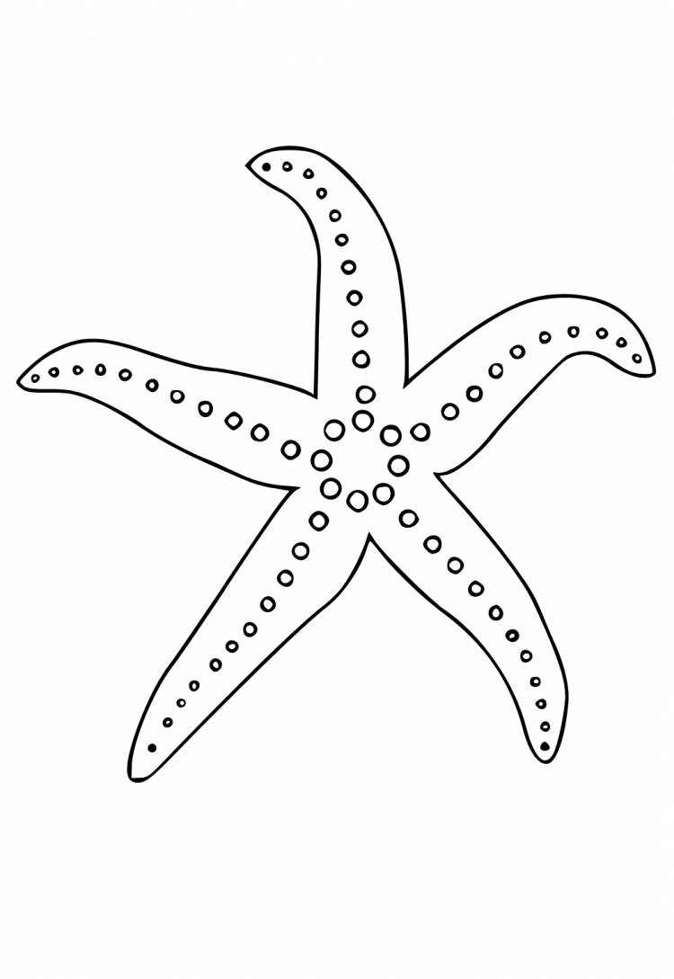 Раскраска Морская Звезда Щупальца Распечатать Бесплатно для Взрослых и Детей