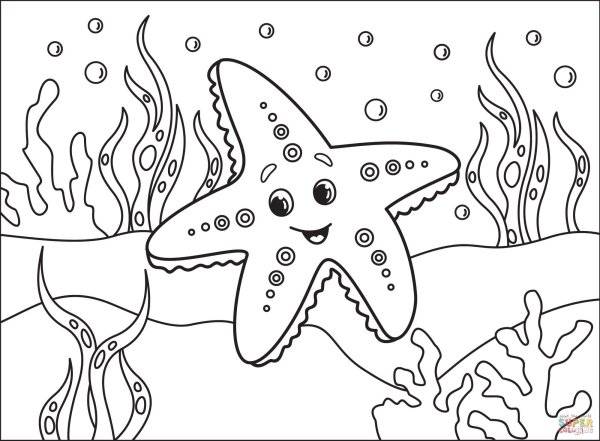 Картинки морская звезда раскраска для детей 