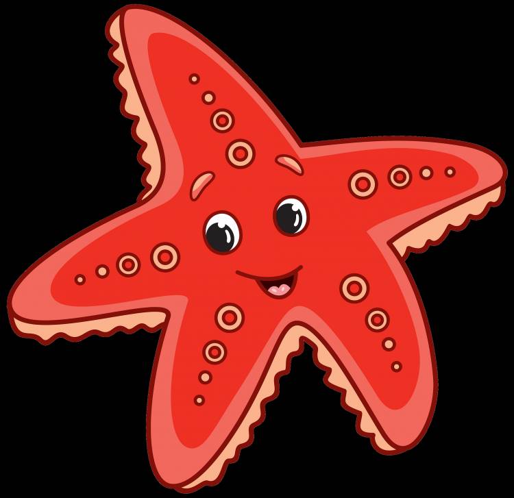 Морская звезда детский рисунок