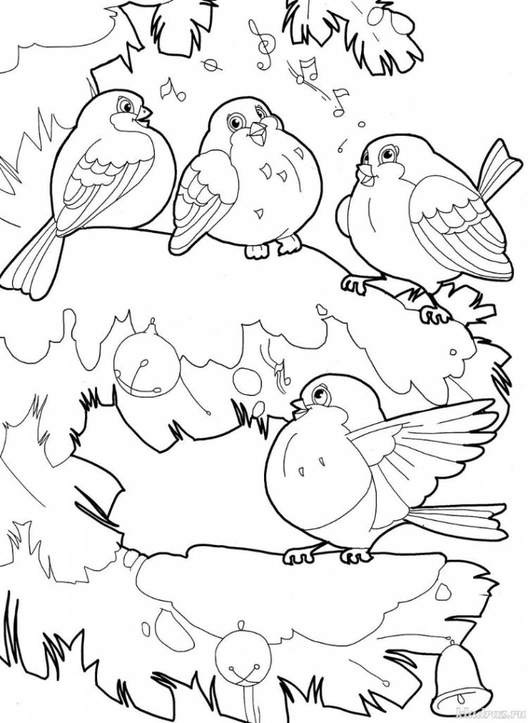 Раскраска птицы зимой