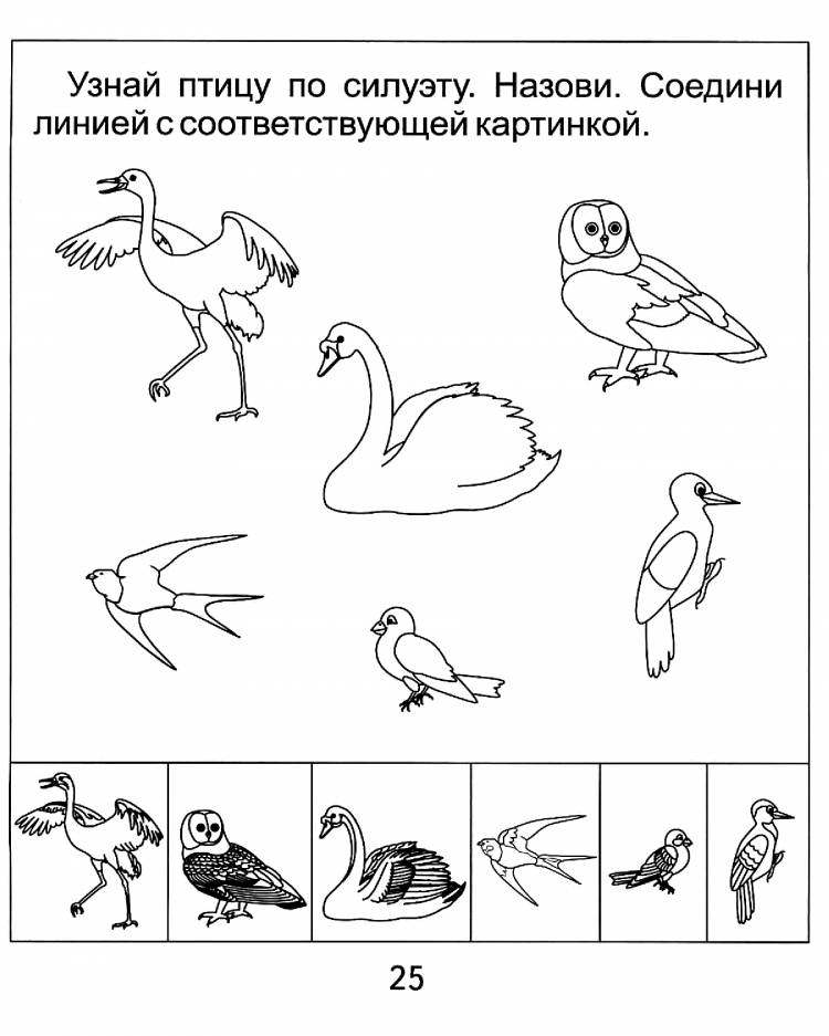 Перелетные птицы раскраски для дошкольников
