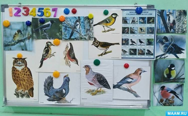 Календарный план образовательной работы на неделю «Зимующие птицы» в старшей группе 