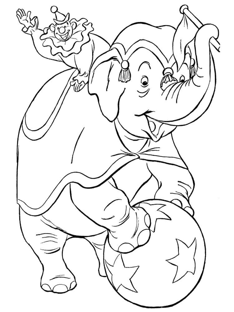 Раскраски цирк, Раскраска слон в цирке слон