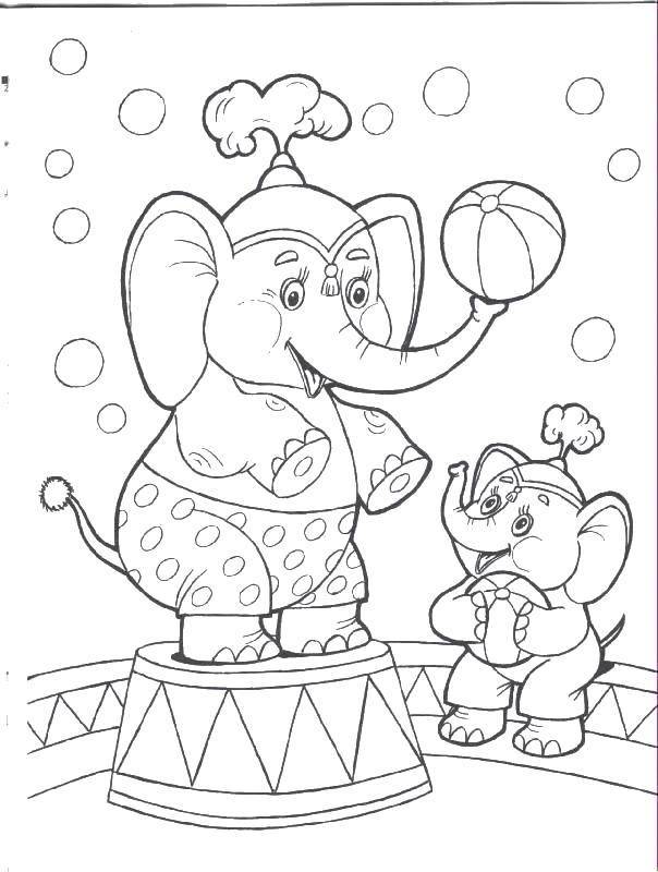 Раскраски слон, Раскраска Слоны в цирке цирк