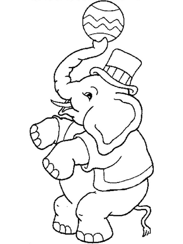 Раскраски цирк, Раскраска слон в цирке слон