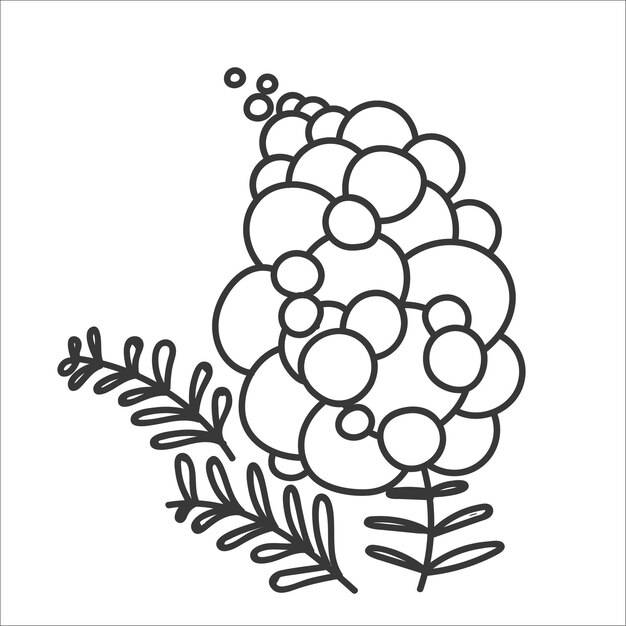 Ветка мимозы с цветущим цветком весенний или летний графический дизайн