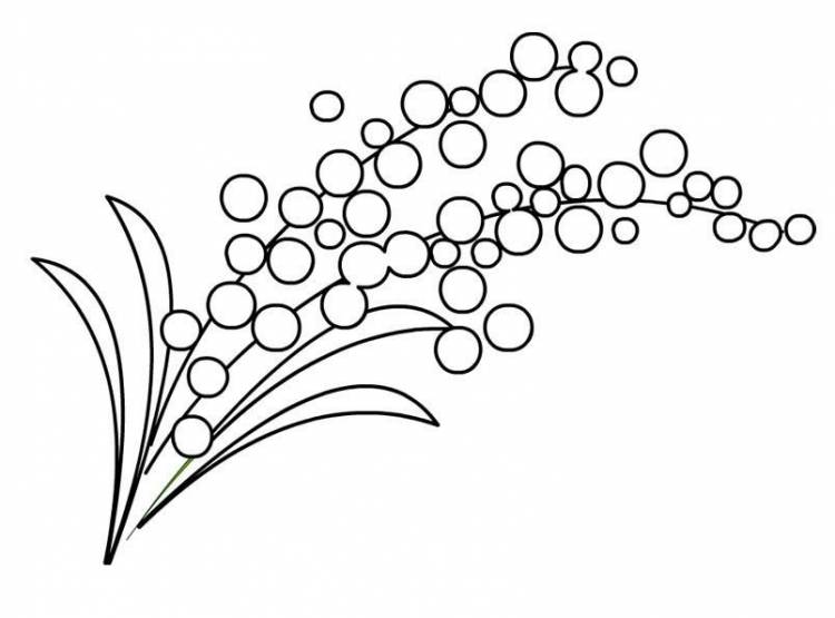 Идеи для срисовки цветок мимоза 