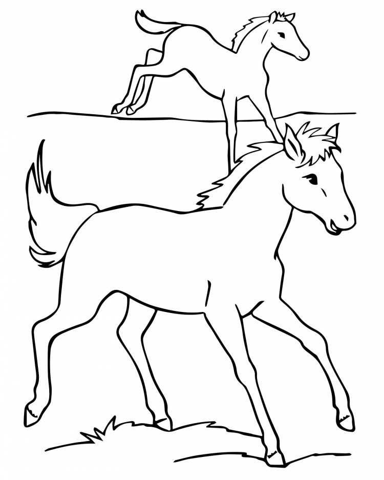 Лошади Башкортостана