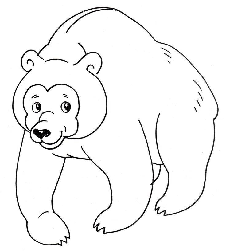 Добрый медведь