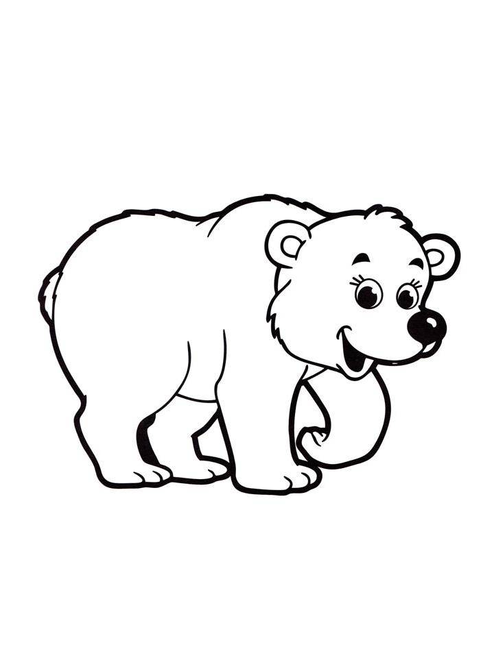 Раскраски Медведь распечатать бесплатно в формате А