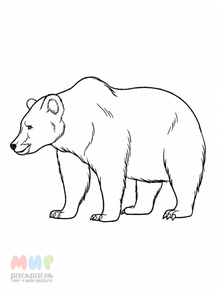 Раскраска Медведь охотнику песню спеть