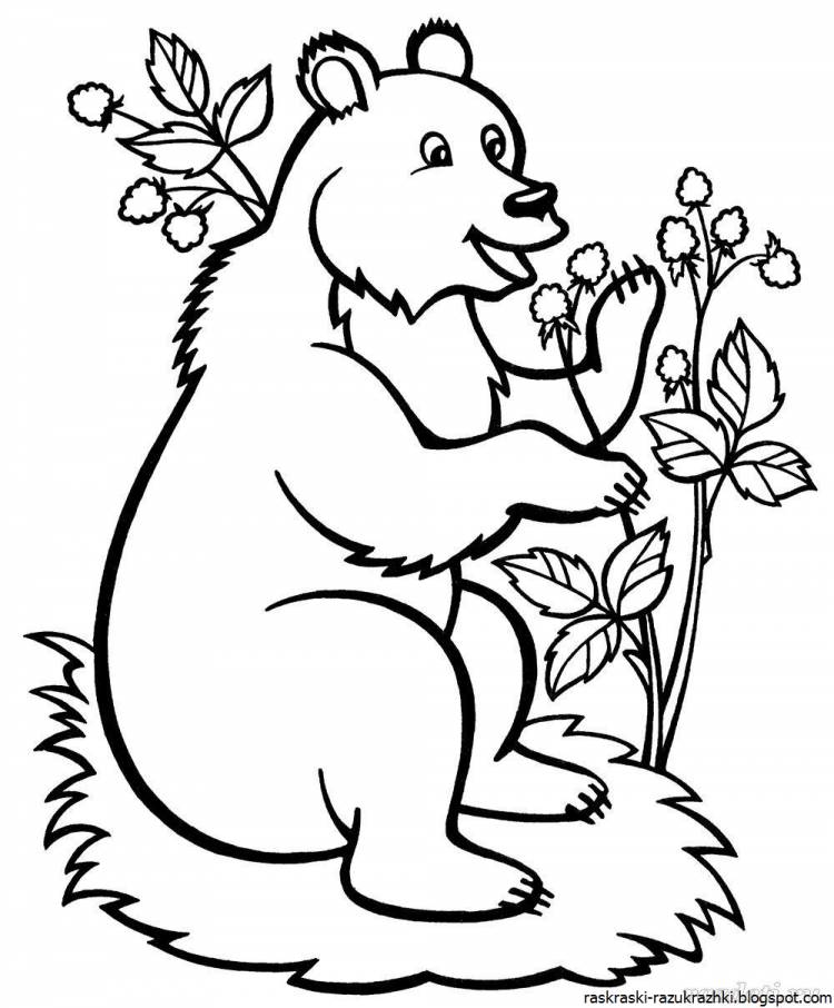 Медведь в лесу раскраска для детей