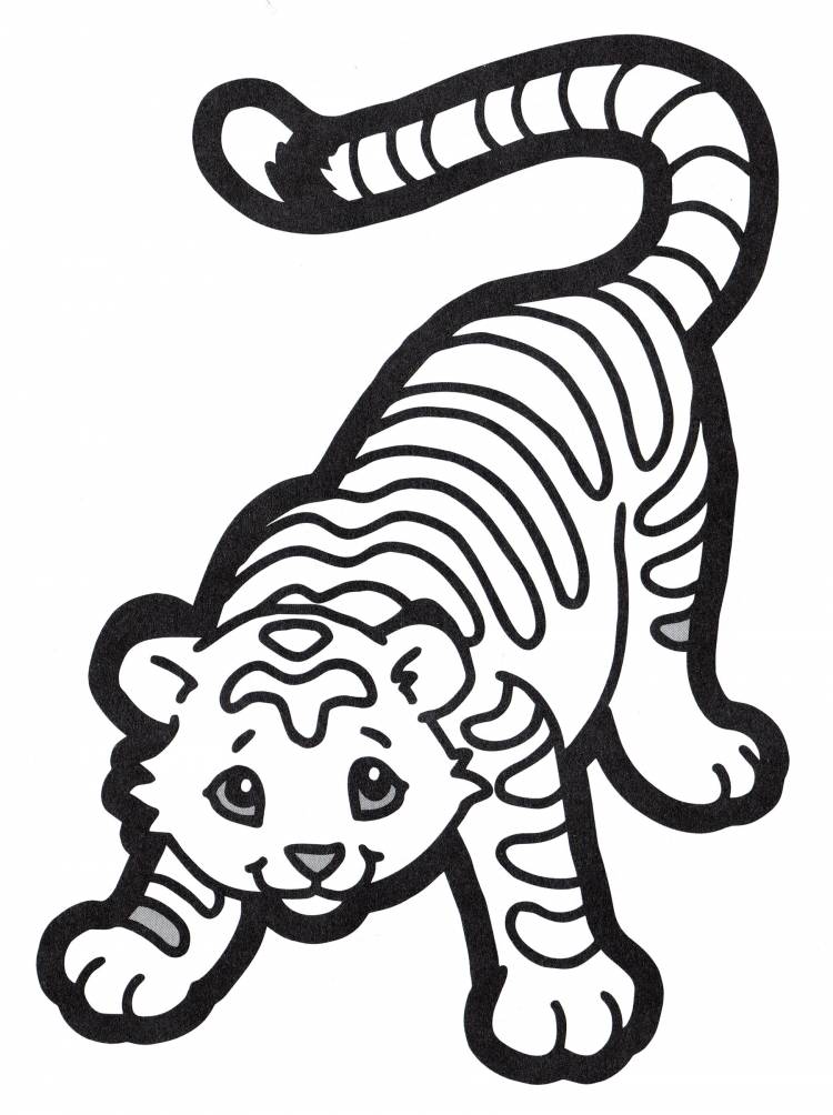 Раскраска Молодой тигр