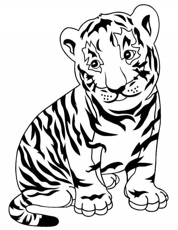 Раскраски Раскраска Маленький тигренок Животные, скачать распечатать раскраски