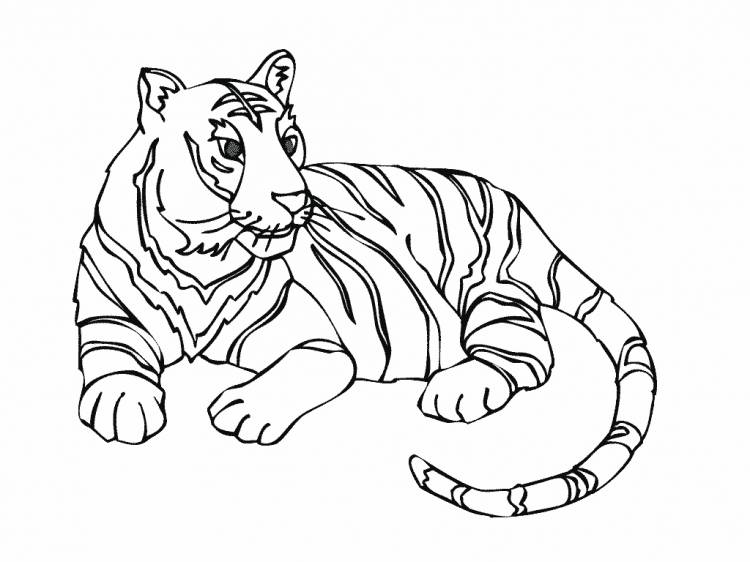 Тигренок тигр раскраска