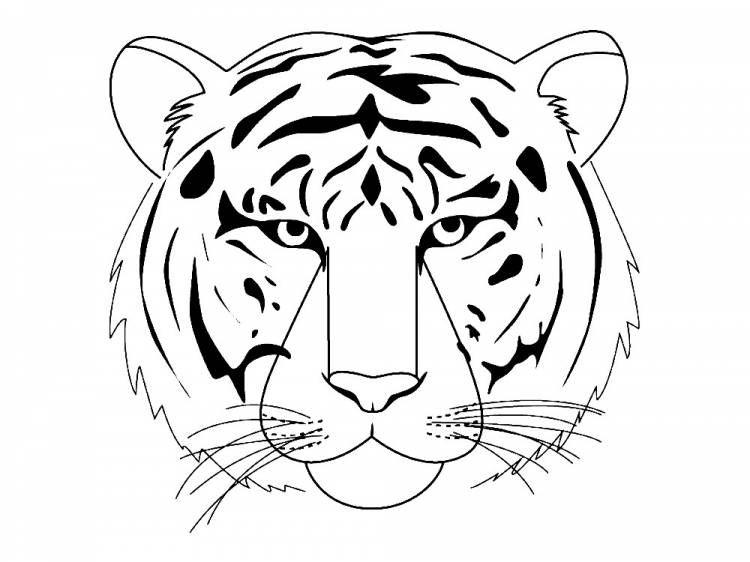 Раскраски для детей и взрослых хорошего качестваРаскраска голова тигра