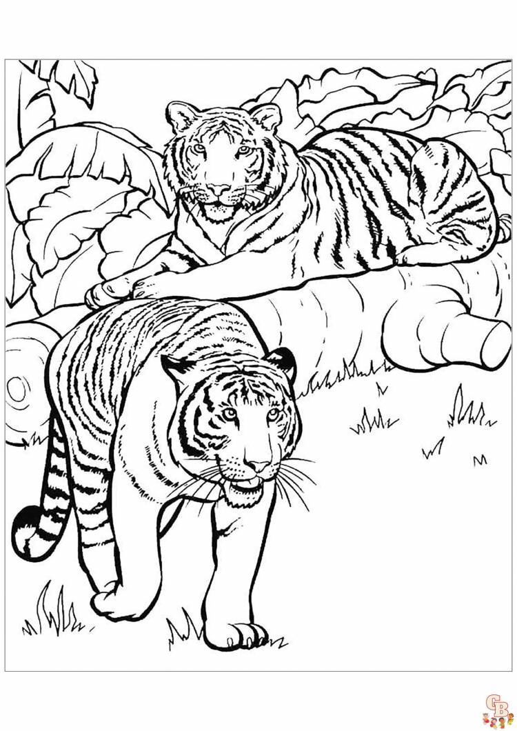 Раскраски волшебные тигры 