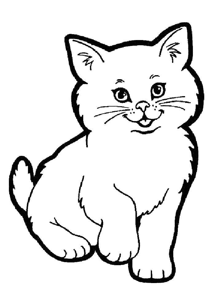 Раскраски кот, Раскраска котята для детей Домашние животные