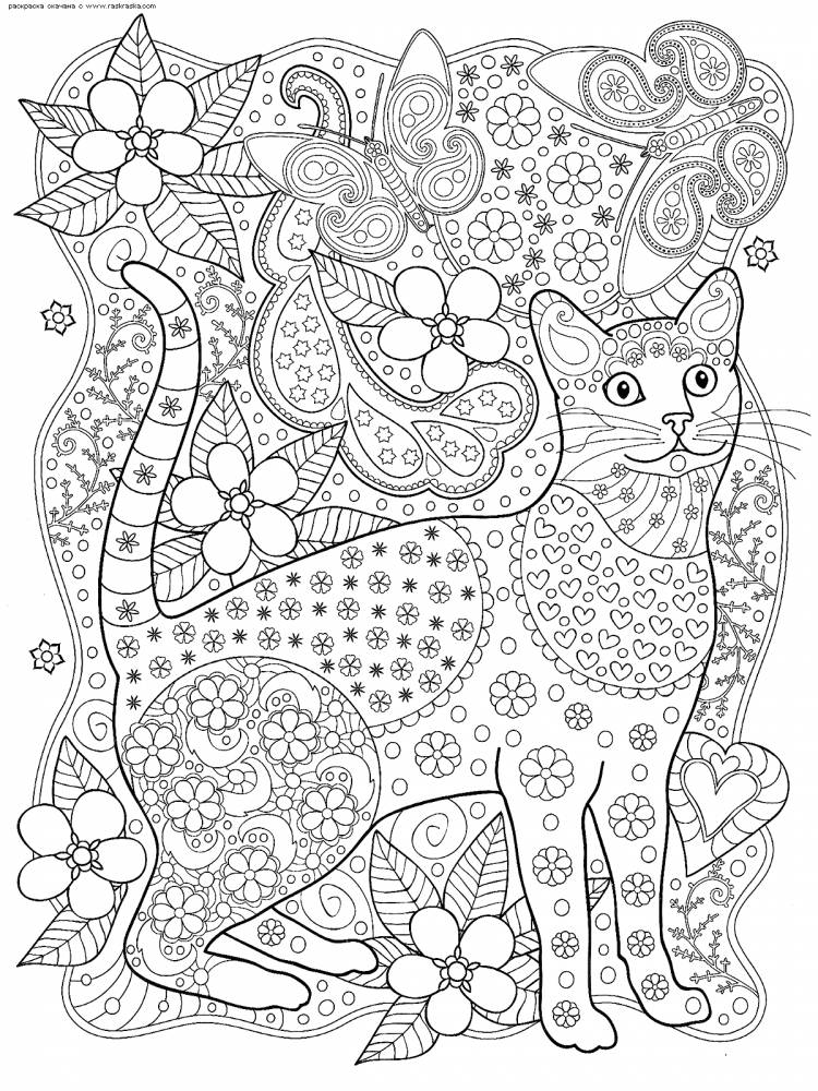 Раскраска Кот и бабочки