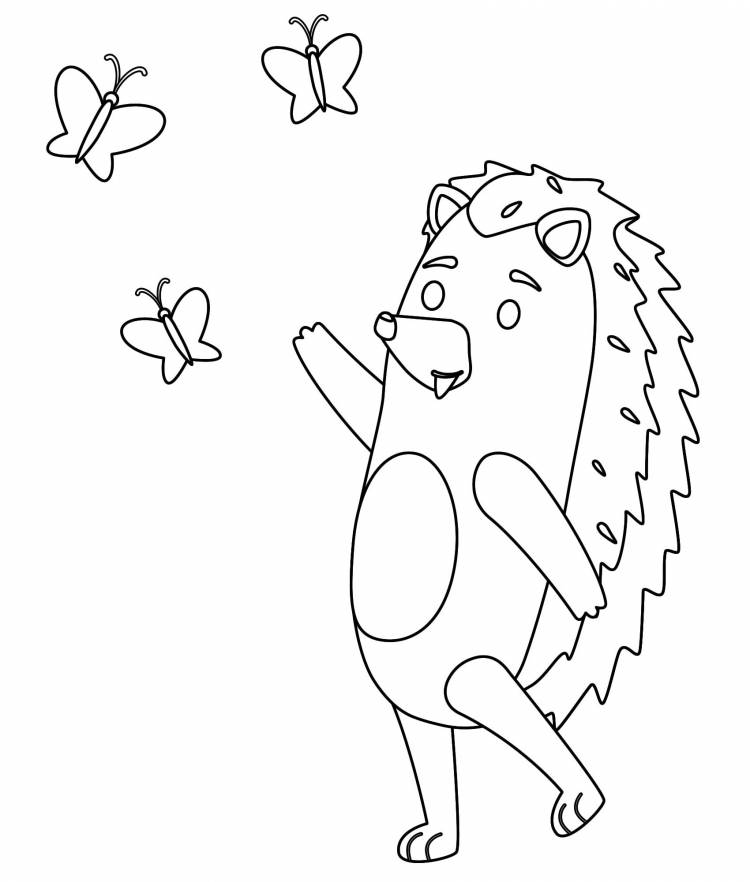 Ёжик с бабочками