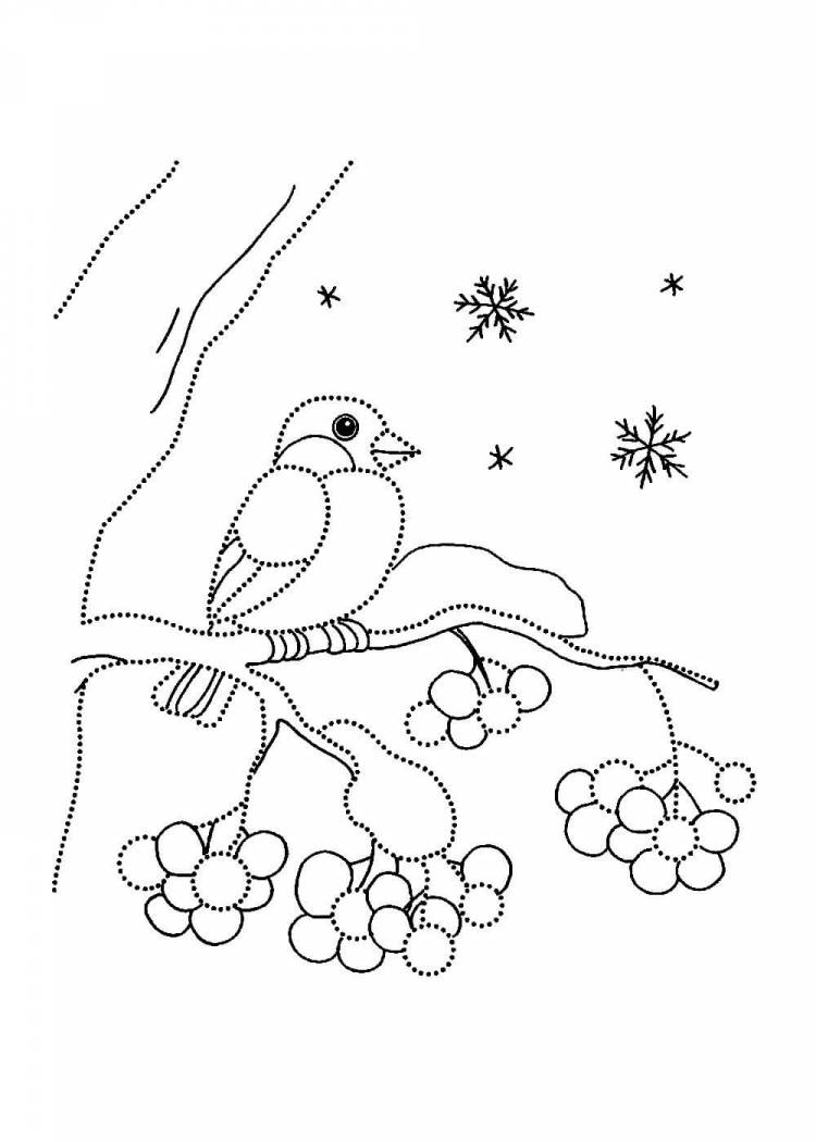 Раскраски Снегиря распечатать или скачать бесплатно в формате PDF