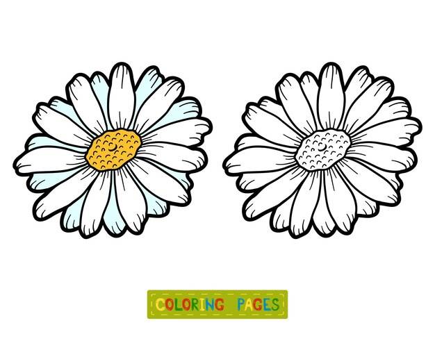 Книжка-раскраска для детей, цветок ромашка
