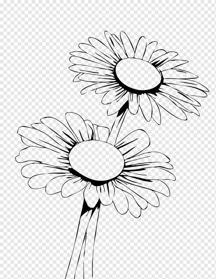 Princess Daisy Книжка-раскраска Ромашка обыкновенная Flower Child, лист подсолнуха, разное, аранжировка цветов, белый png