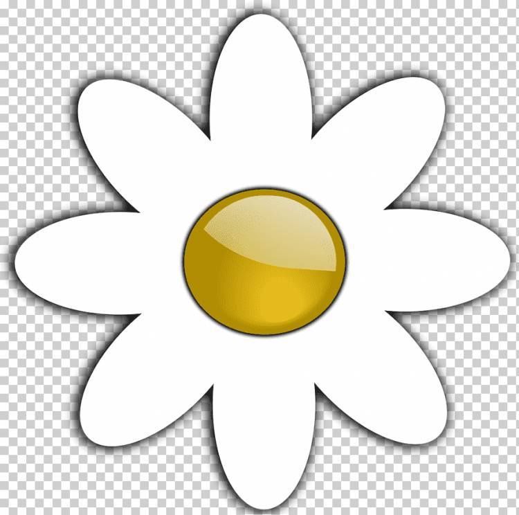 Обыкновенная ромашка Книжка-раскраска Цветок Чёрно-белый, Ромашки, белый, цветок, без роялти png