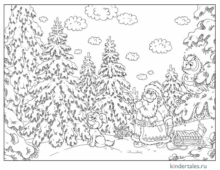 Дед Мороз выбирает елку» раскраска для детей