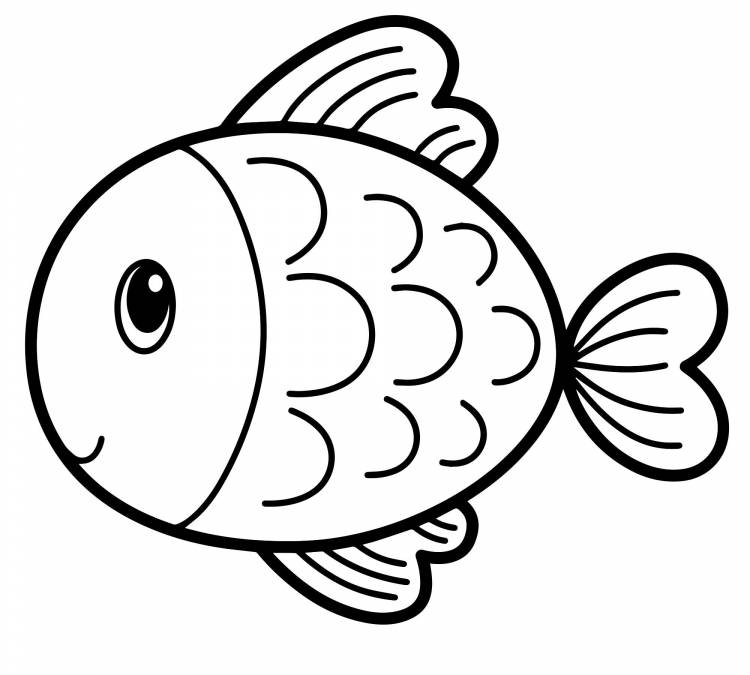 Аквариумная рыбка