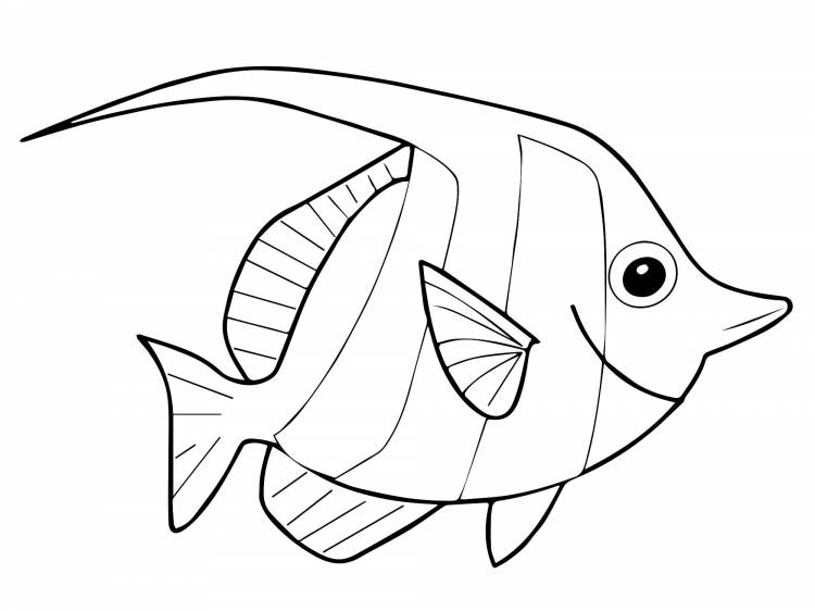 Рыбка из мультика
