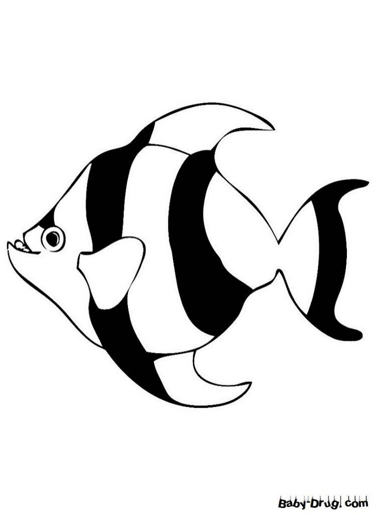 Раскраска Рыба Полосатик для детей