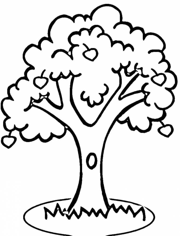 Раскраски дуплом, Раскраска Дерево с дуплом Контур дерева