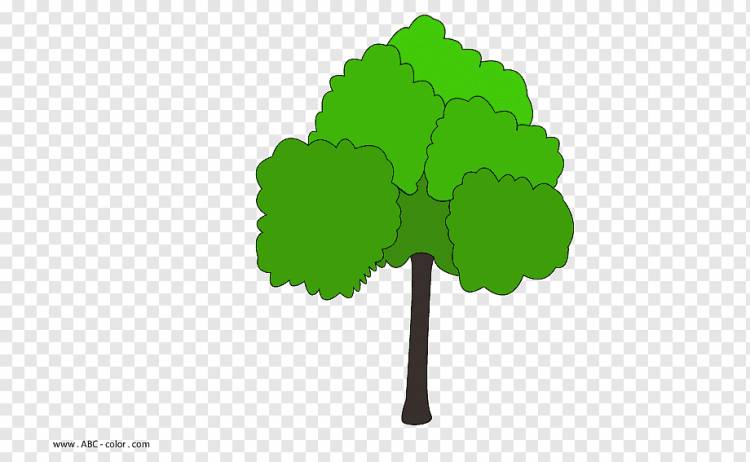 Рисунок Дерево Дуб Растровая графика Книжка-раскраска, дерево, карандаш, клен, лист png