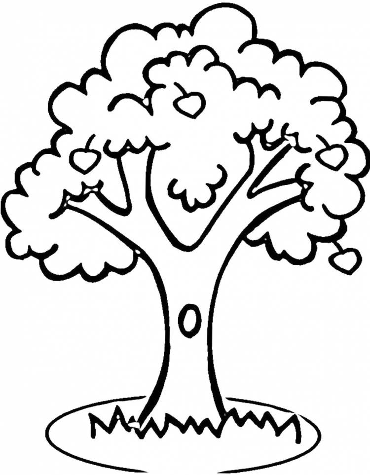 Раскраски дерево, Раскраска Дерево с дуплом деревья