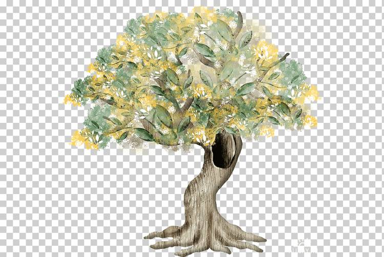Дерево пустотелое Рисунок, весеннее дерево, акварель, ветка, корень png