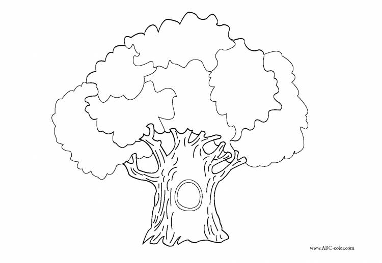 дерево с дуплом рисунок