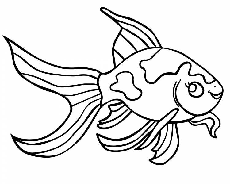 Рыбка Гуппи