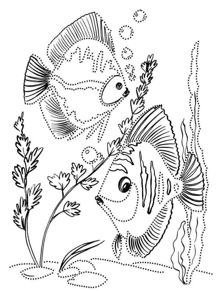 Раскраски Аквариумные рыбки
